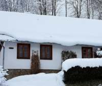screenshot-www.google.com-2022.04.03-20_20_41